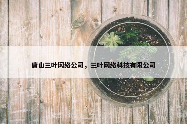 唐山三叶网络公司，三叶网络科技有限公司