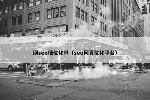 网seo便优化吗（seo网页优化平台）