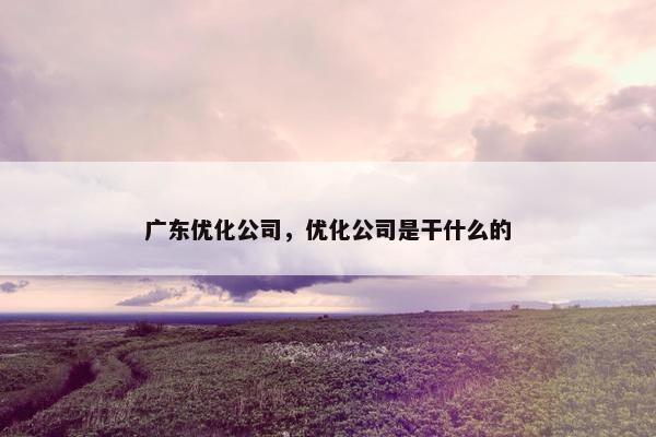 广东优化公司，优化公司是干什么的