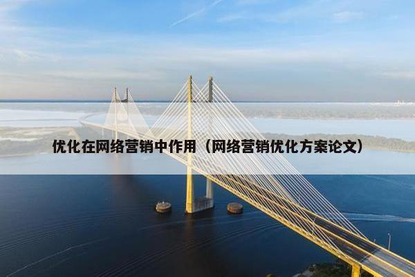 优化在网络营销中作用（网络营销优化方案论文）