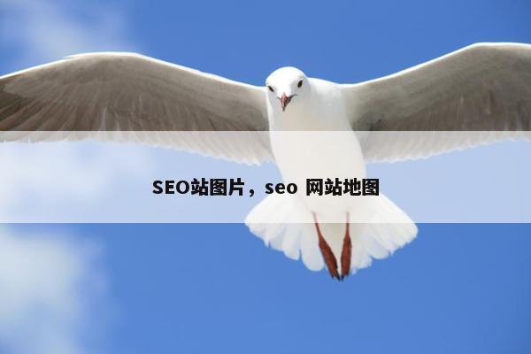 SEO站图片，seo 网站地图