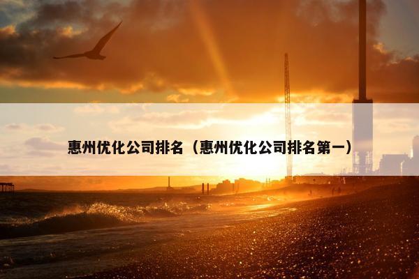 惠州优化公司排名（惠州优化公司排名第一）