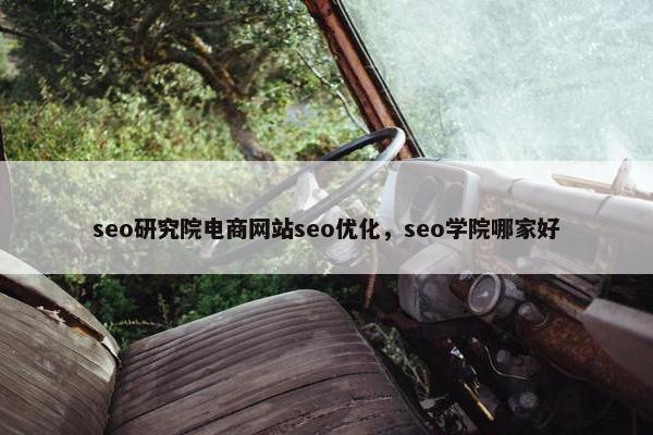 seo研究院电商网站seo优化，seo学院哪家好