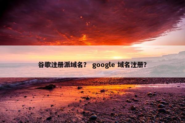 谷歌注册派域名？ google 域名注册？