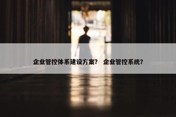 企业管控体系建设方案？ 企业管控系统？