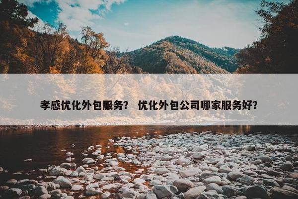 孝感优化外包服务？ 优化外包公司哪家服务好？