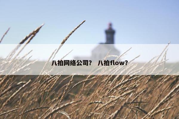 八拍网络公司？ 八拍flow？