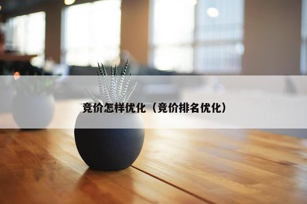 竞价怎样优化（竞价排名优化）
