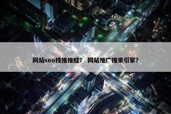 网站seo找推推蛙？ 网站推广搜索引擎？