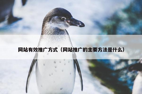 网站有效推广方式（网站推广的主要方法是什么）