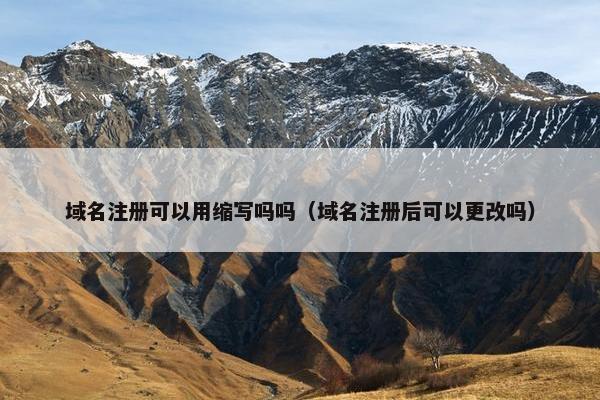 域名注册可以用缩写吗吗（域名注册后可以更改吗）
