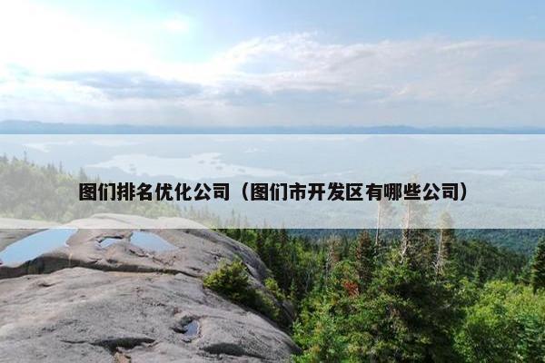 图们排名优化公司（图们市开发区有哪些公司）