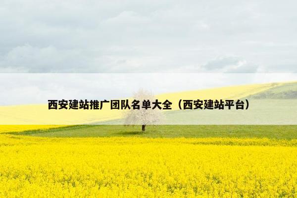 西安建站推广团队名单大全（西安建站平台）