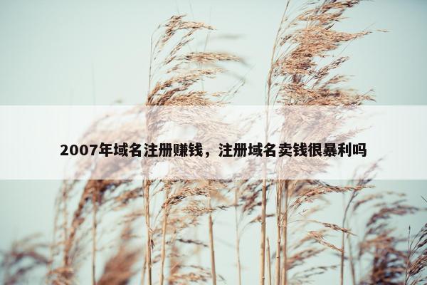 2007年域名注册赚钱，注册域名卖钱很暴利吗