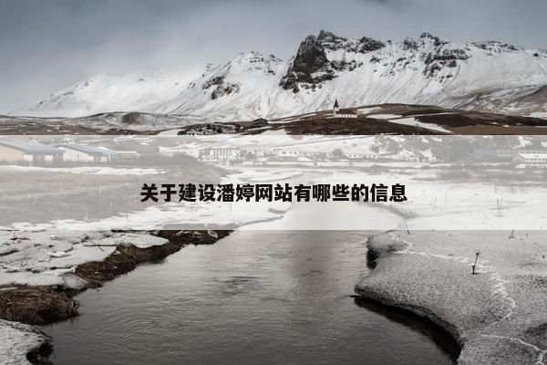 关于建设潘婷网站有哪些的信息