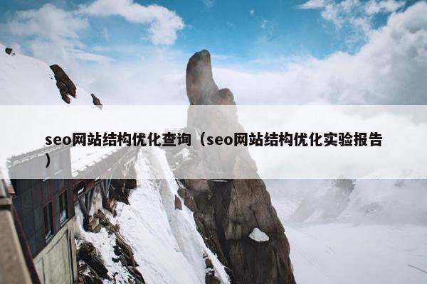 seo网站结构优化查询（seo网站结构优化实验报告）