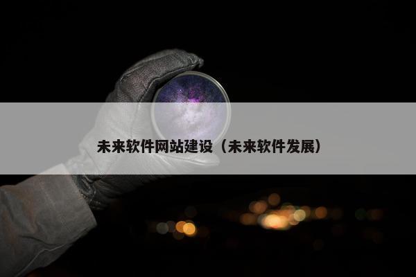 未来软件网站建设（未来软件发展）