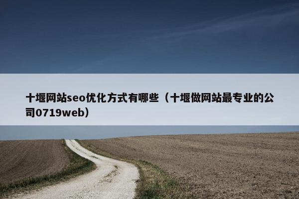 十堰网站seo优化方式有哪些（十堰做网站最专业的公司0719web）