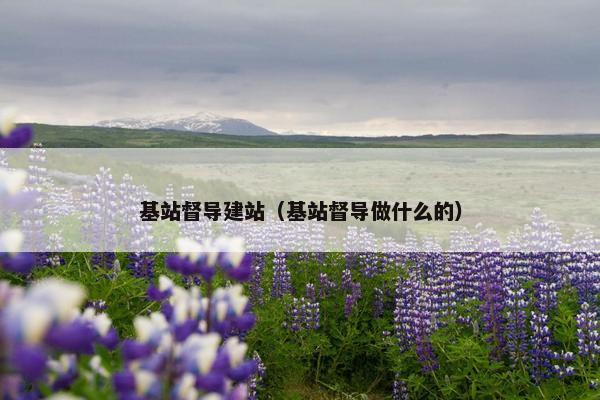 基站督导建站（基站督导做什么的）