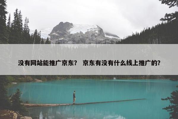 没有网站能推广京东？ 京东有没有什么线上推广的？