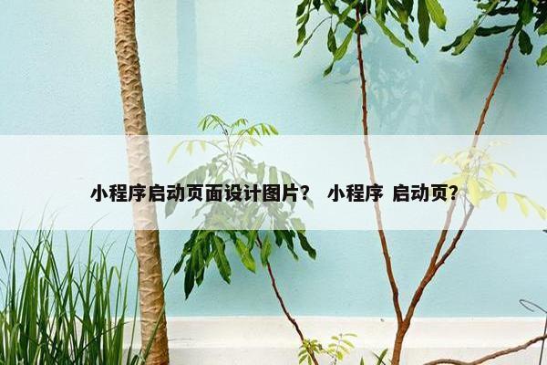 小程序启动页面设计图片？ 小程序 启动页？