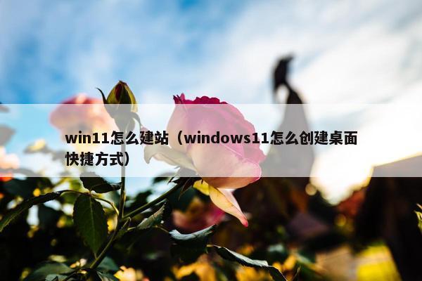 win11怎么建站（windows11怎么创建桌面快捷方式）