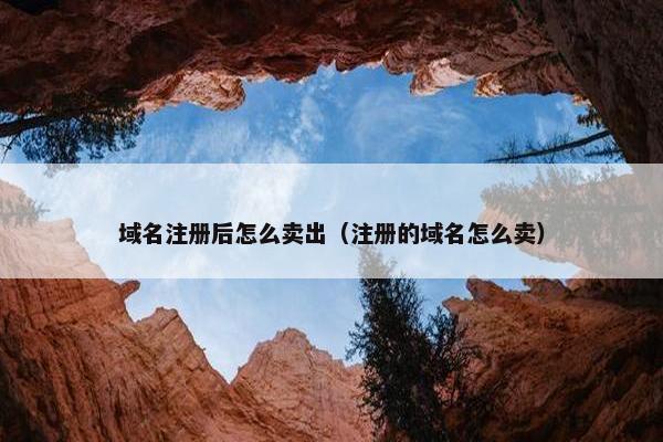 域名注册后怎么卖出（注册的域名怎么卖）
