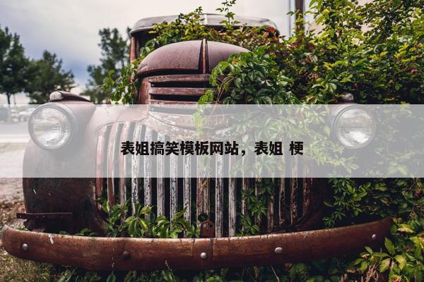 表姐搞笑模板网站，表姐 梗