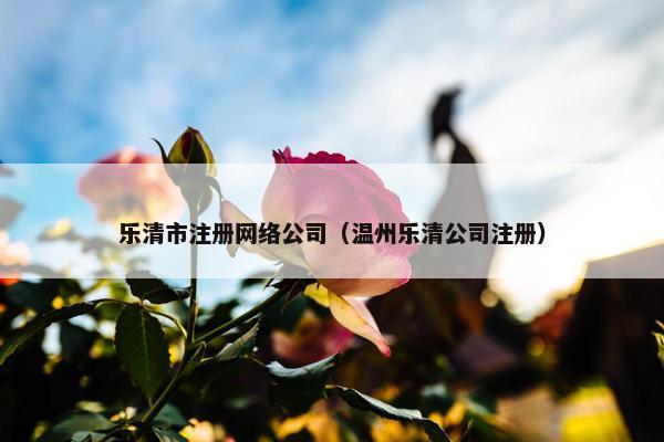 乐清市注册网络公司（温州乐清公司注册）