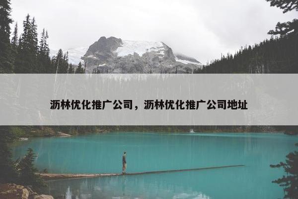 沥林优化推广公司，沥林优化推广公司地址