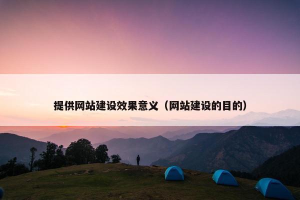 提供网站建设效果意义（网站建设的目的）