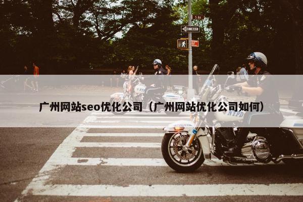 广州网站seo优化公司（广州网站优化公司如何）