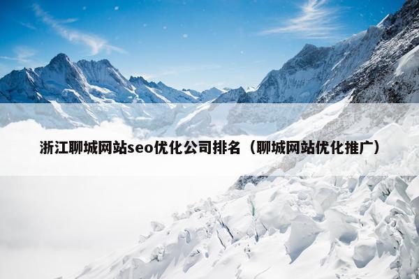 浙江聊城网站seo优化公司排名（聊城网站优化推广）