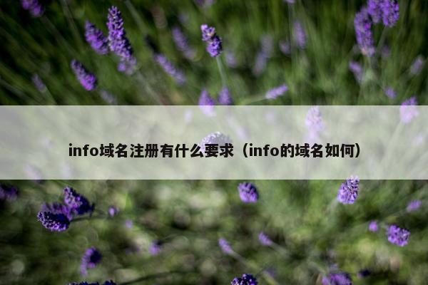 info域名注册有什么要求（info的域名如何）
