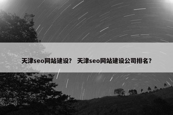 天津seo网站建设？ 天津seo网站建设公司排名？