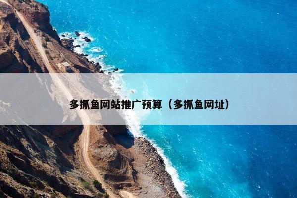 多抓鱼网站推广预算（多抓鱼网址）