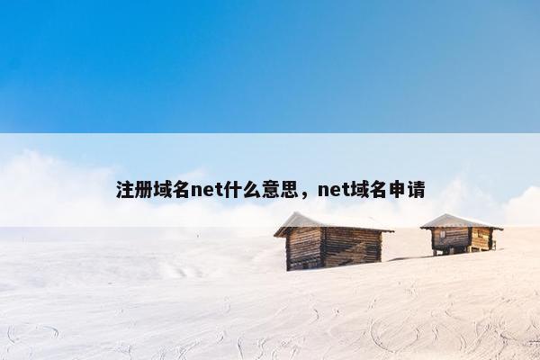 注册域名net什么意思，net域名申请