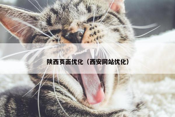 陕西页面优化（西安网站优化）