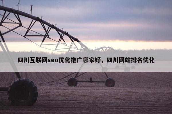 四川互联网seo优化推广哪家好，四川网站排名优化