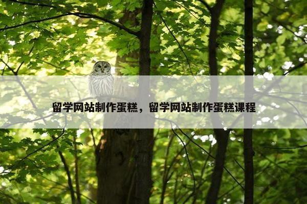 留学网站制作蛋糕，留学网站制作蛋糕课程