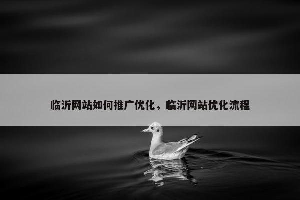 临沂网站如何推广优化，临沂网站优化流程