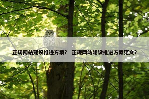 正规网站建设推进方案？ 正规网站建设推进方案范文？