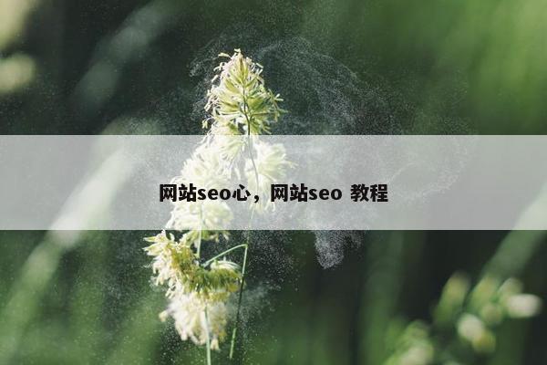 网站seo心，网站seo 教程
