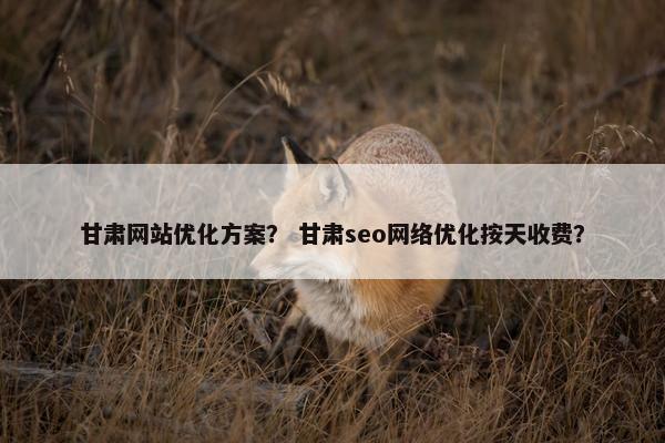 甘肃网站优化方案？ 甘肃seo网络优化按天收费？