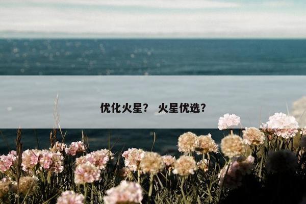 优化火星？ 火星优选？
