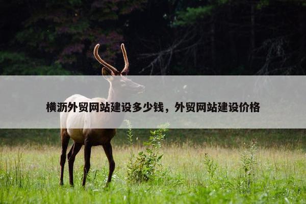 横沥外贸网站建设多少钱，外贸网站建设价格