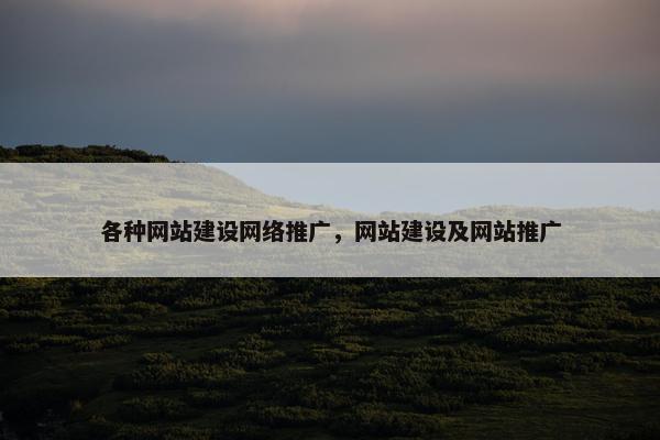 各种网站建设网络推广，网站建设及网站推广