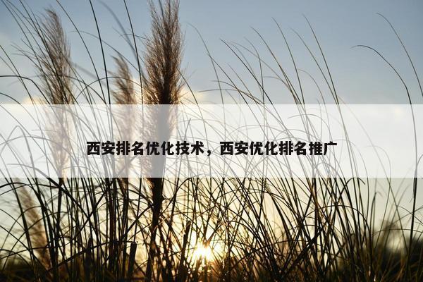 西安排名优化技术，西安优化排名推广