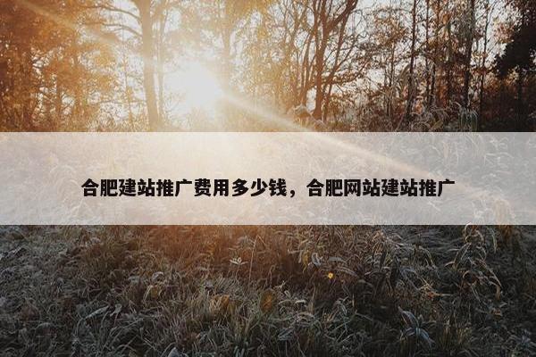 合肥建站推广费用多少钱，合肥网站建站推广