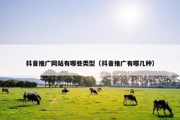 抖音推广网站有哪些类型（抖音推广有哪几种）
